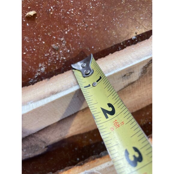 Basswood Rustic Bark Edge Wood Slabs For Crafts & DIY Projects - Picture 9 of 11